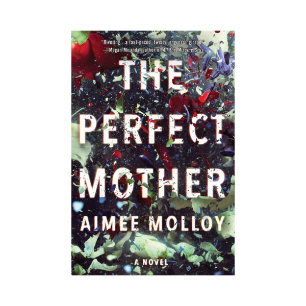 The Perfect Mother 