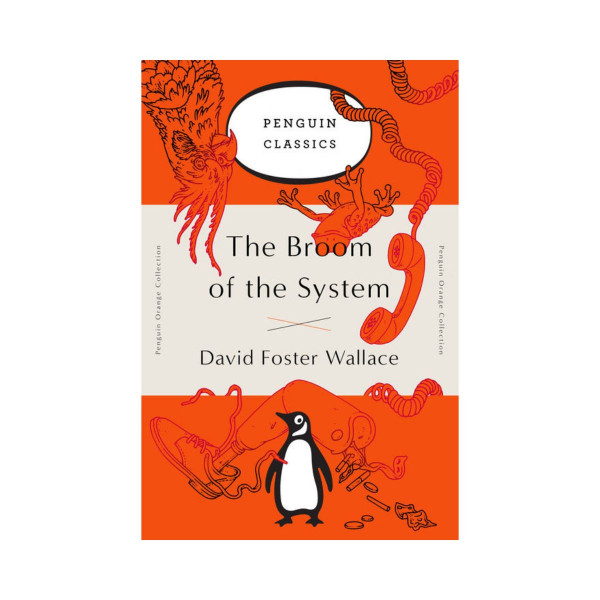 The Broom of the System 