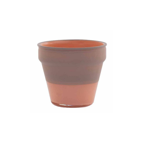 Декоративен стаклен сад, Camelia, Albicocca Caspo 