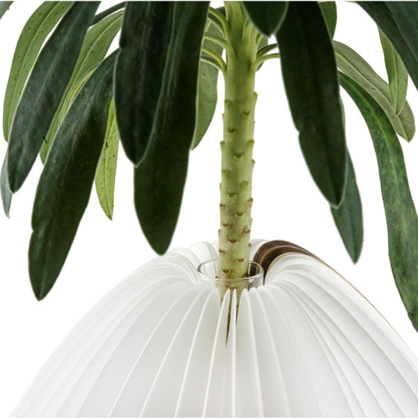 Паметна ламба - Вазна, Smart Vase Light, дрво - орев
