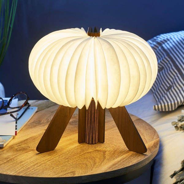 Паметна ламба - R, The R Space Lamp, дрво - орев