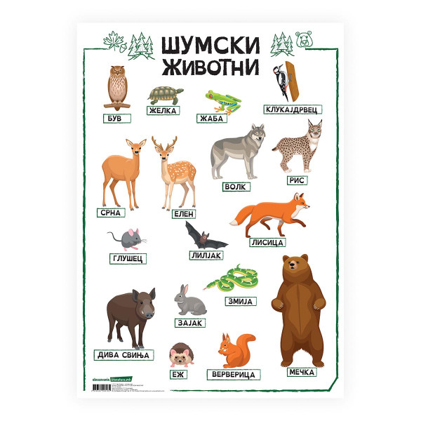 Постер, Шумски животни, пластифициран 