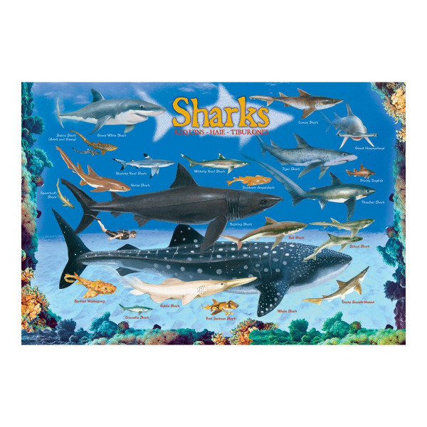 Сложувалка, Smart Kids Collection, Sharks, 100 парчиња