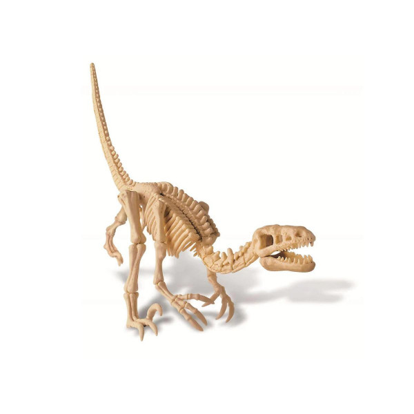 STEM сет, Kidz Labs, Dig a Dinosaur Skeleton - Velociraptor 