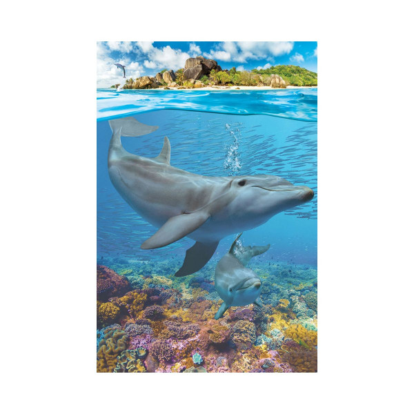 Сложувалка, Dolphins, 250 парчиња