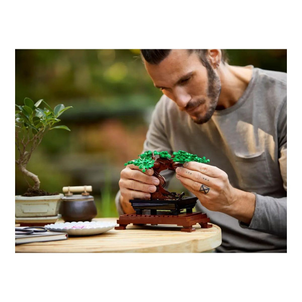 LEGO коцки, Botanical Collection, Bonsai Tree