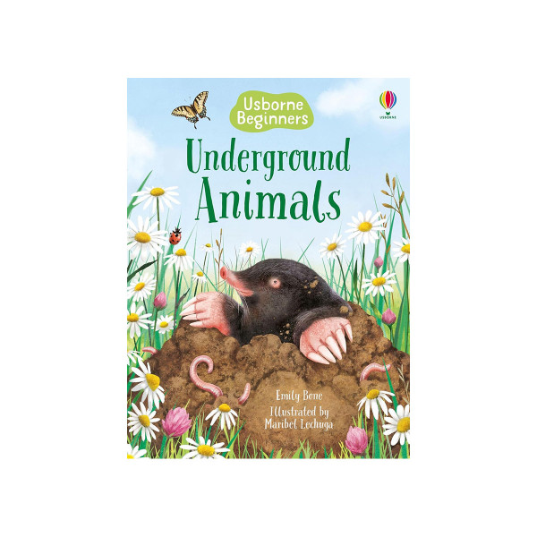 Underground Animals (Usborne Beginners) 