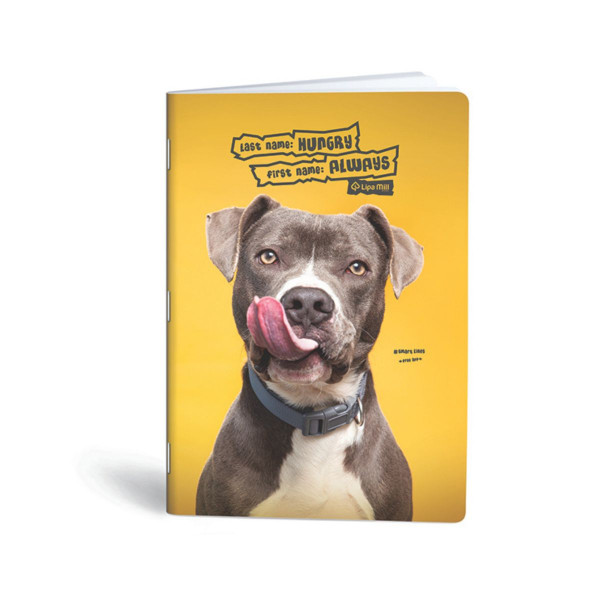 Тетратка, Lipa Mill, Premium - Pets, A5, коцки 