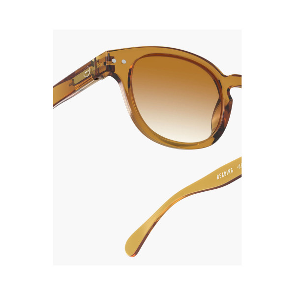 Очила за сонце, #C Golden Canyon Polarized 