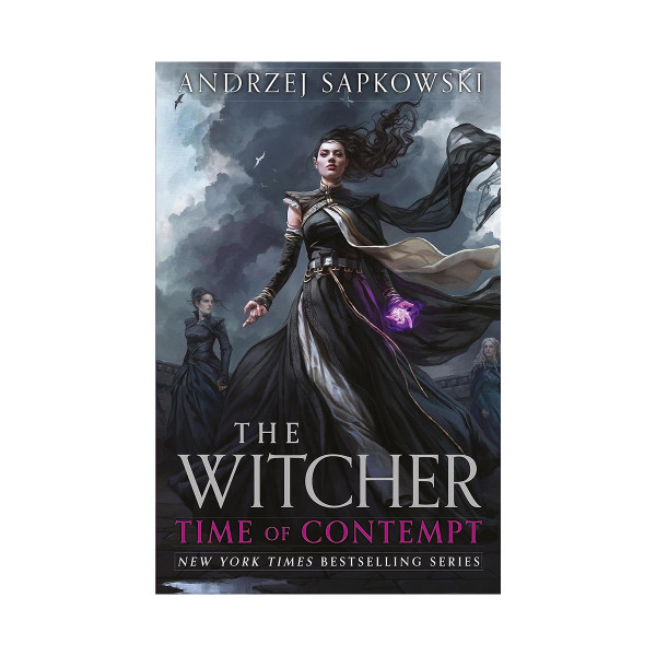 Time of Contempt: The Witcher, Book 2 