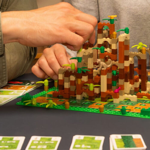 Друштвена игра, Monkey Palace (MK)