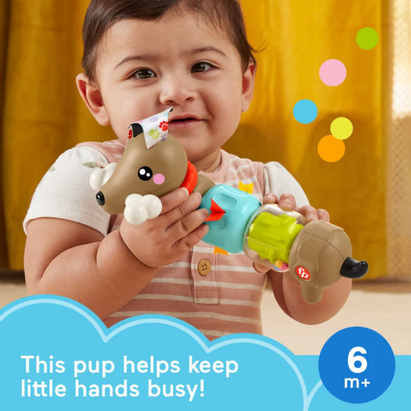 Сензорна играчка, Fisher Price Pets - Click & Spin Activity Pup