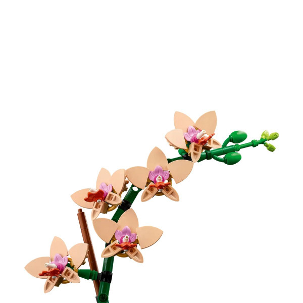 LEGO коцки, Botanicals, Mini Orchid