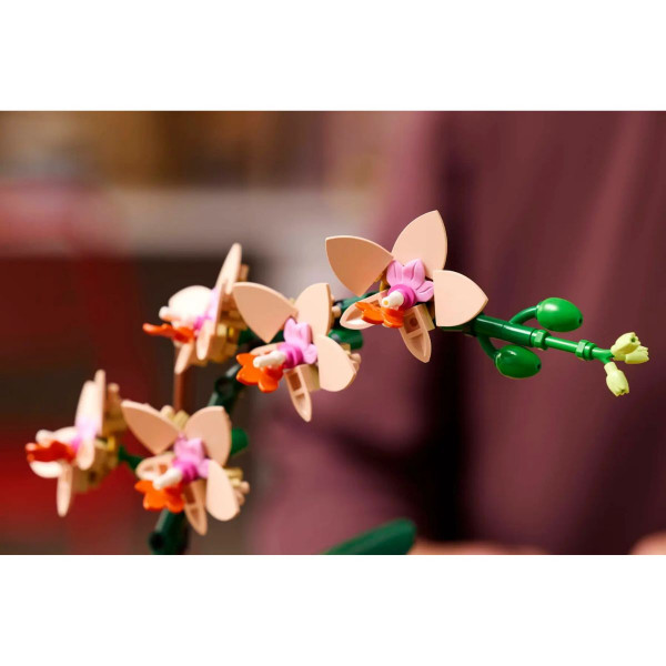 LEGO коцки, Botanicals, Mini Orchid
