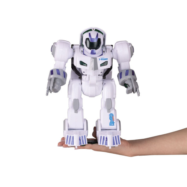 Робот со далечинско управување, RC Robot