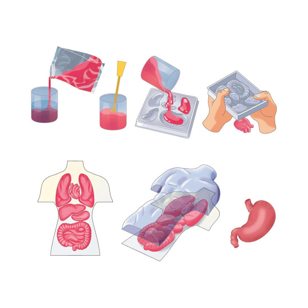 СТЕМ сет, Science & Play Lab, Squishy Anatomy 