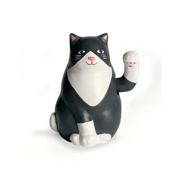 Соларна фигура, Cat