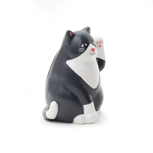Соларна фигура, Cat