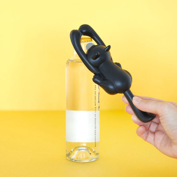 Отворач за шишиња, Curious Cat