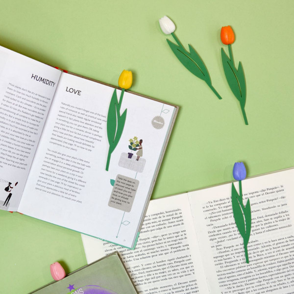 Разделник, Tulip, 5 бои 