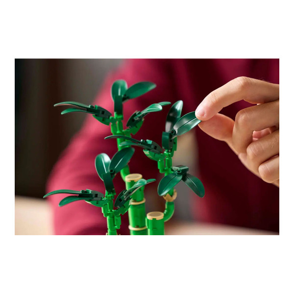 LEGO коцки, Botanicals, Lucky Bamboo 