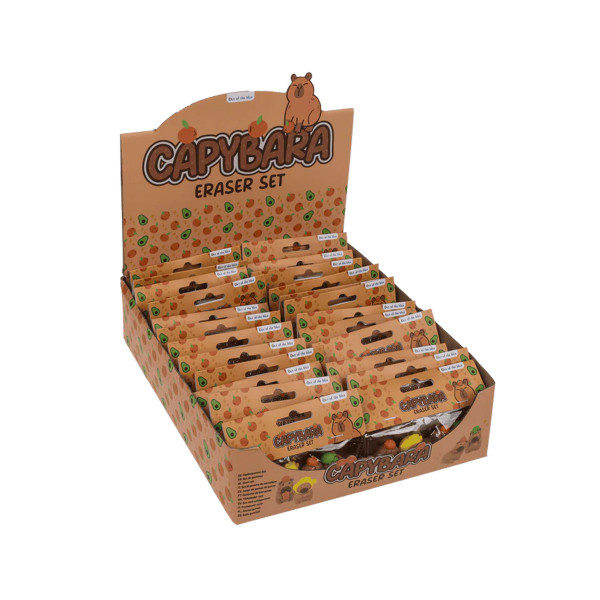 Сет од 4 гуми за бришење Capybara 