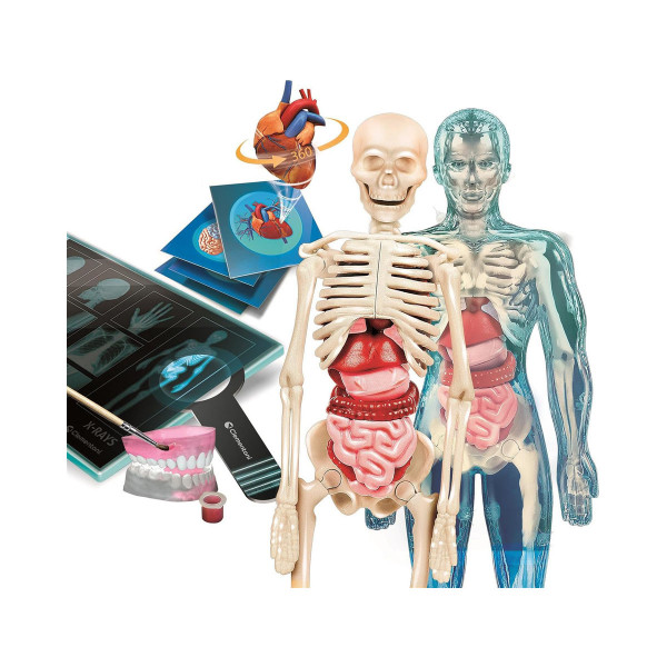 СТЕМ сет, Science & Play Lab, Super Anatomy 