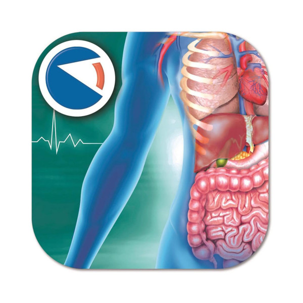 СТЕМ сет, Science & Play Lab, Super Anatomy 