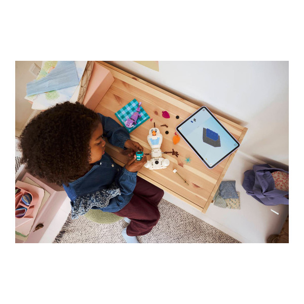 LEGO коцки, Disney: Frozen, Olaf and Bruni’s Picnic Fun 