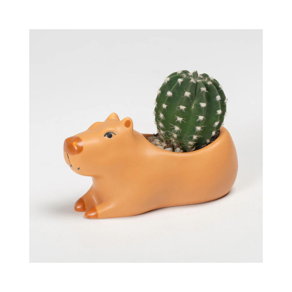 Саксија за цвеќе Cappy the Capybara 