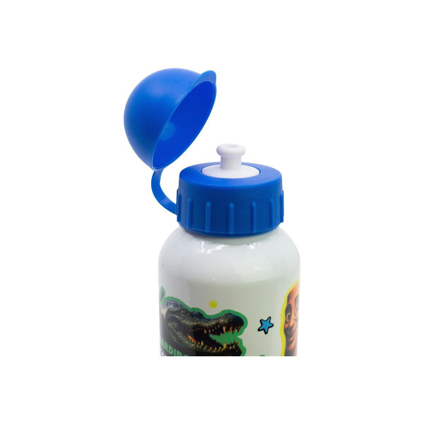 Алуминиумско шише за вода, Brainrot, 400ml 