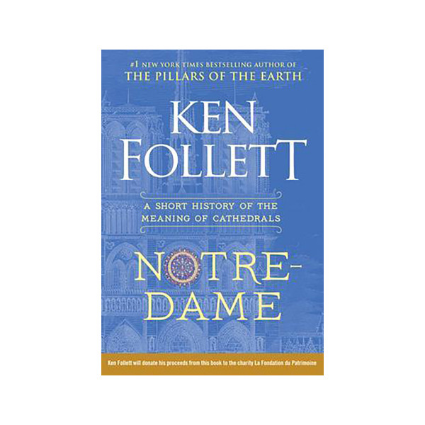 Notre-Dame : A Short History of the Meaning of Cathedrals 