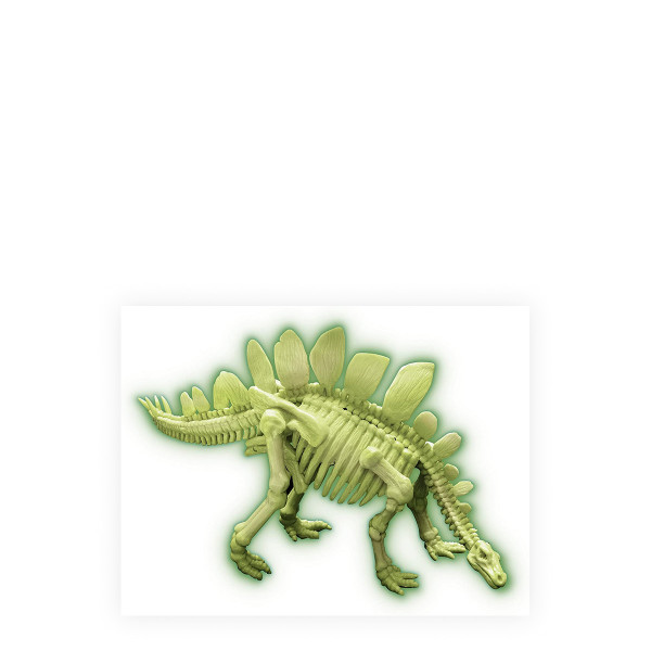 Сет за ископување, Dinosaur DNA - Stegosaurus