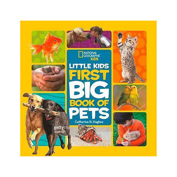 Little Kids First Big Book of Pets 