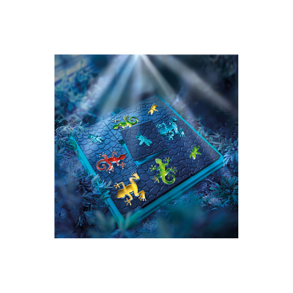 Логичка игра, Colour Catch 