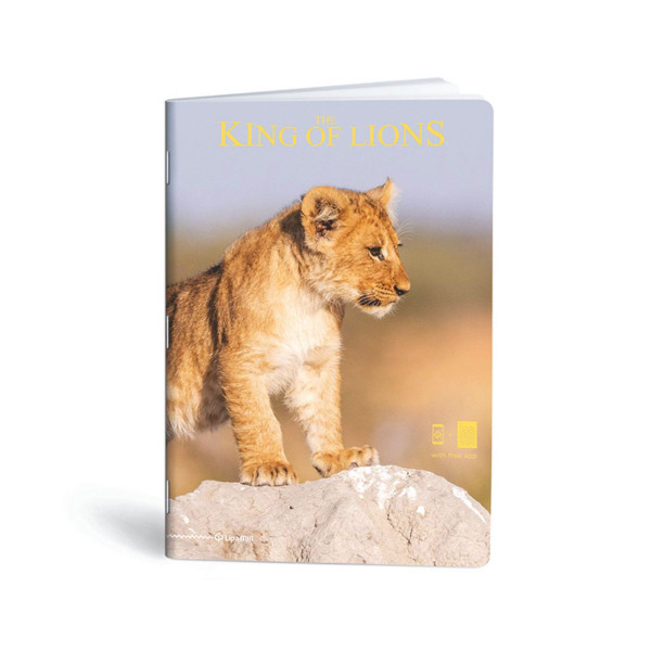 Тетратка, Lipa Mill, King of Lions, А4, коцки 