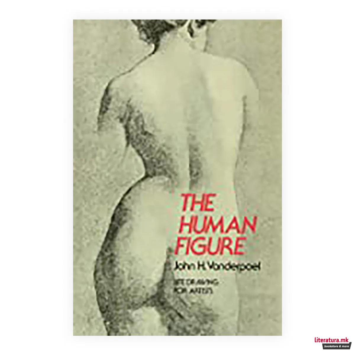 The Human figure