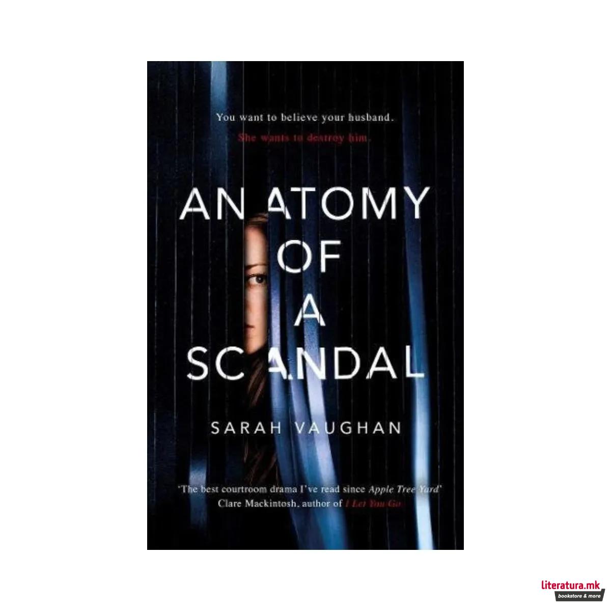 Anatomy of a Scandal