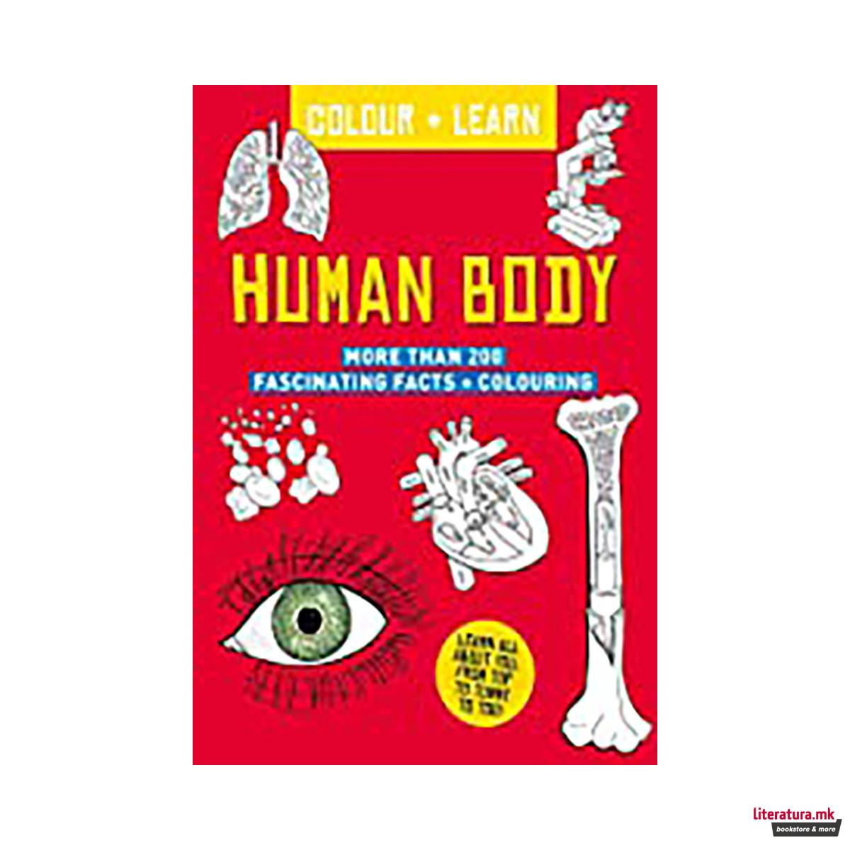 Colour + Learn: Human Body 