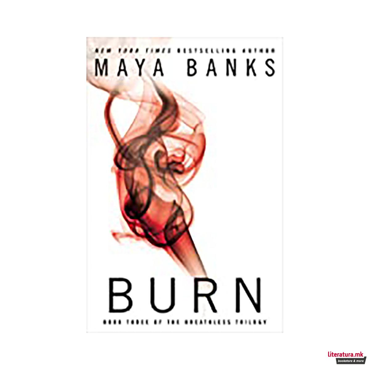 Burn : Book 3 of the Breathless Trilogy