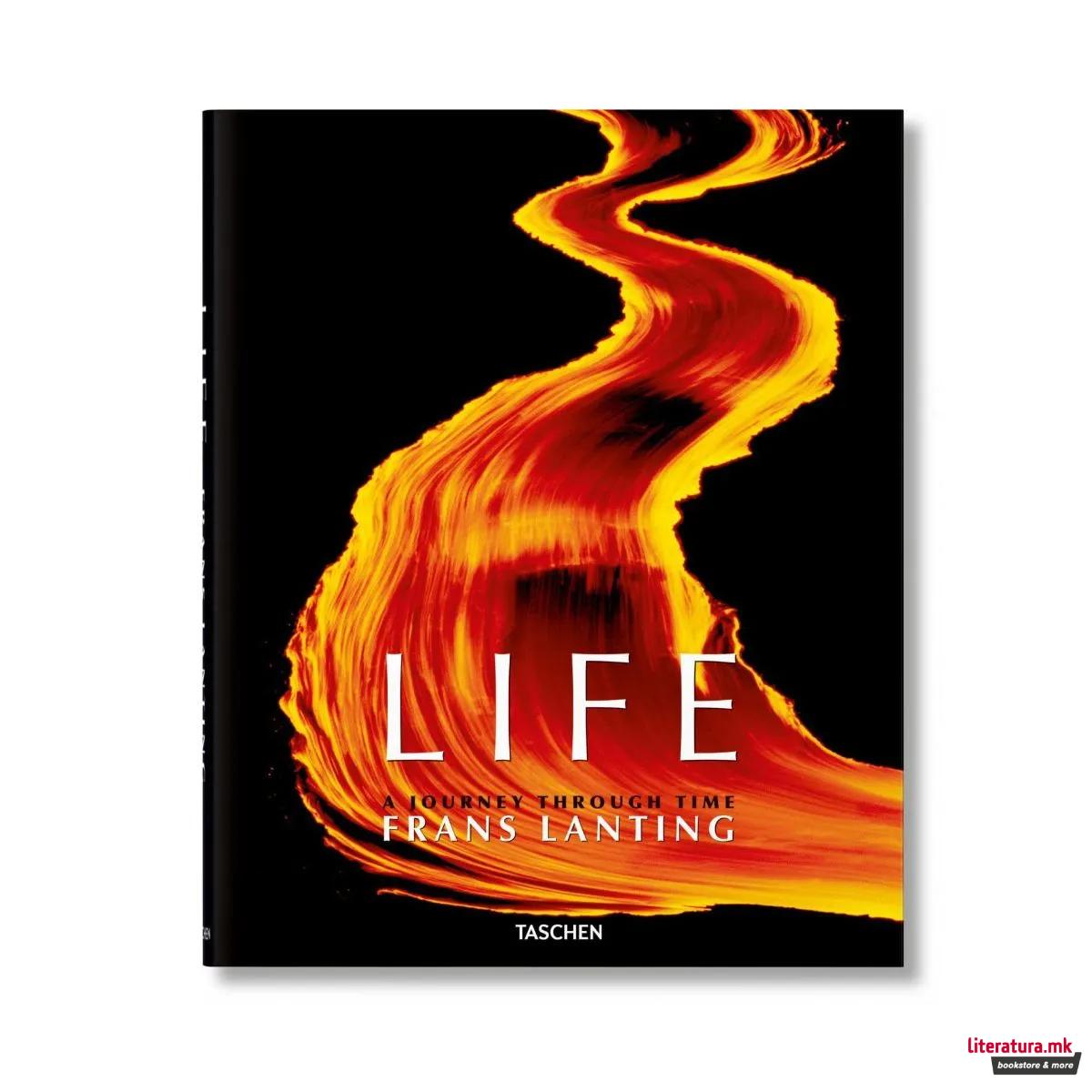 Life: A Journey Through Time