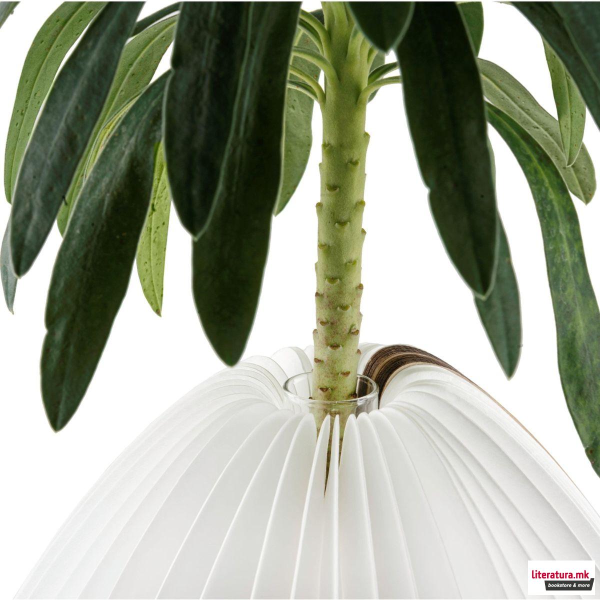 Паметна ламба - Вазна, Smart Vase Light, дрво - орев