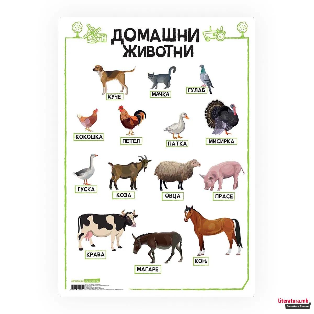 Постер, Домашни животни, пластифициран