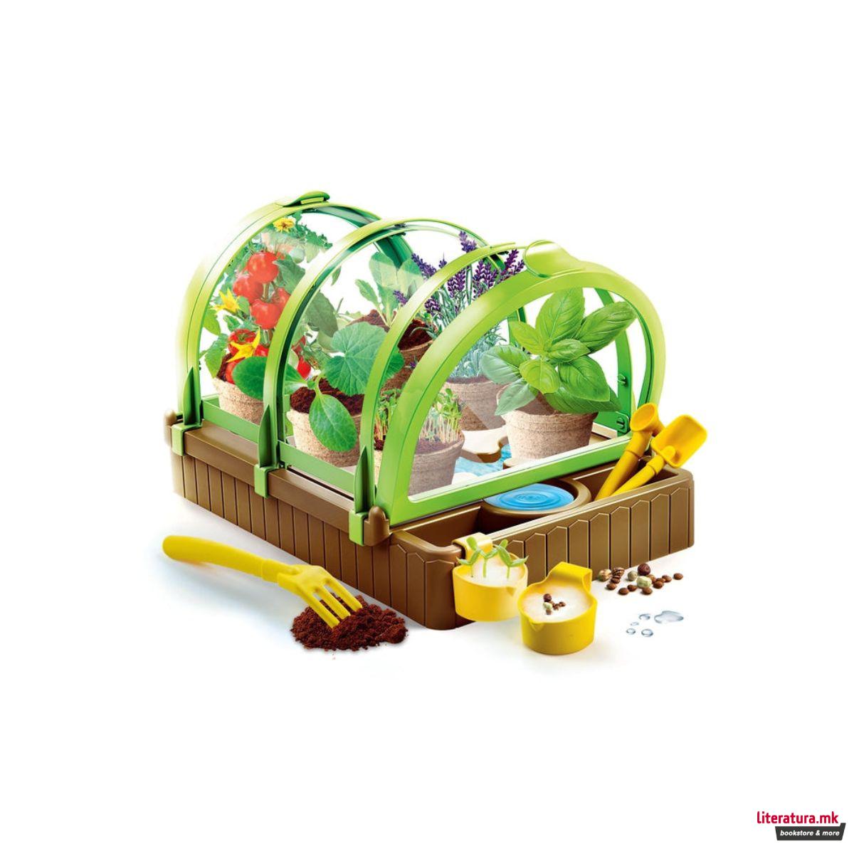 Детска лабораторија, Science & Play, Greenhouse 