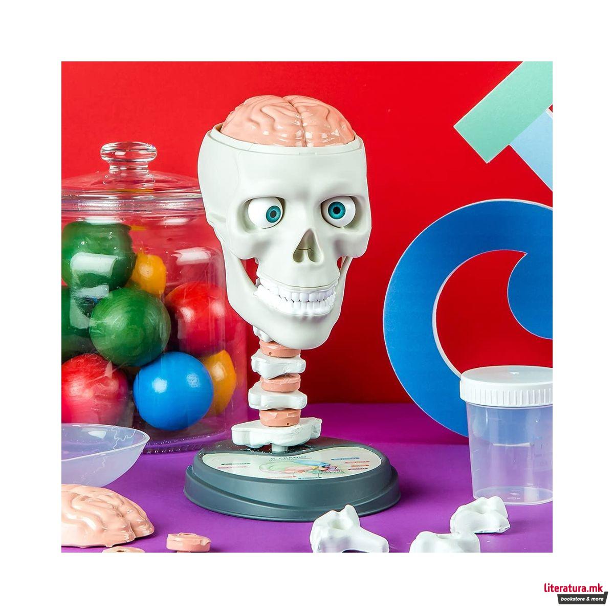 STEM сет, Science & Play, Crazy Anatomy 