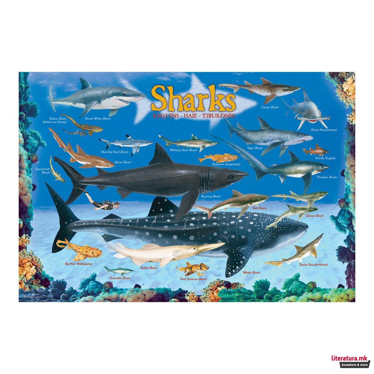 Сложувалка, Smart Kids Collection, Sharks, 100 парчиња