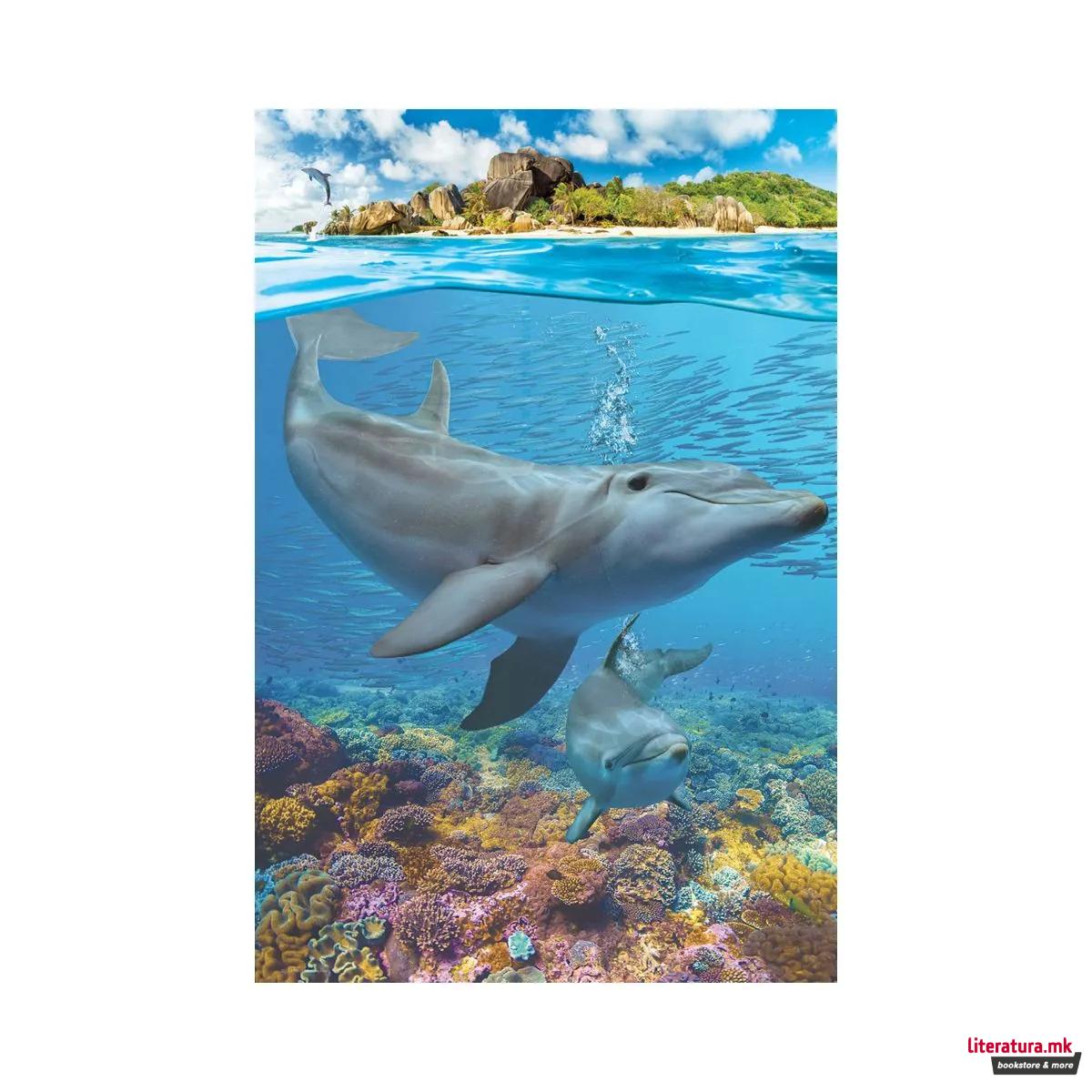Сложувалка, Dolphins, 250 парчиња