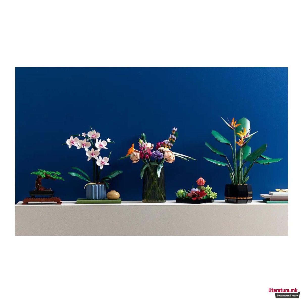 LEGO коцки, Botanical Collection, Orchid