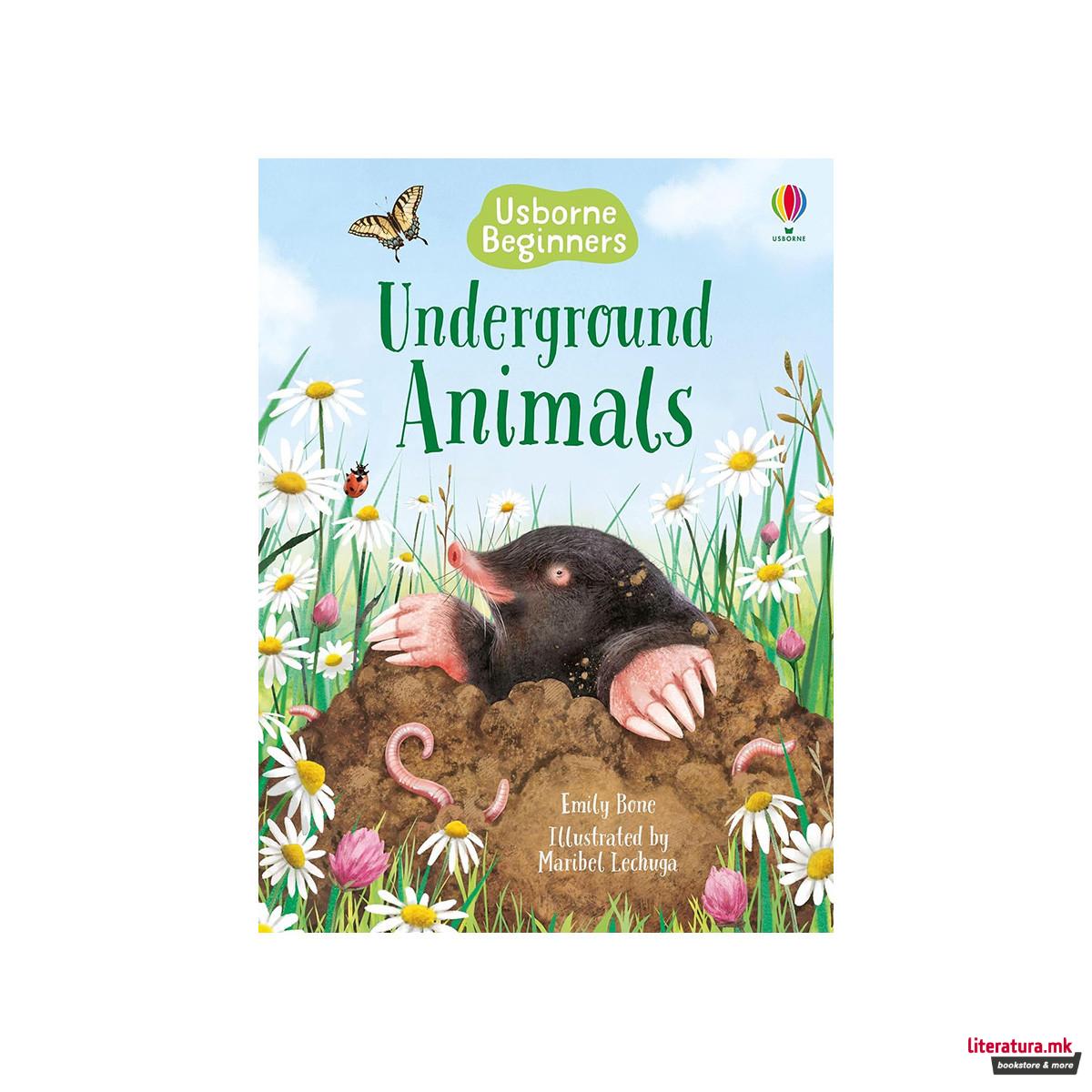 Underground Animals (Usborne Beginners)
