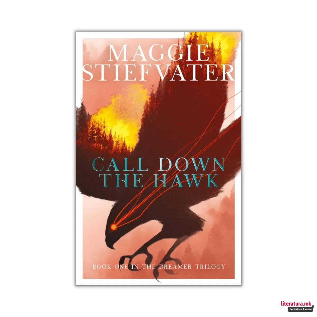 Call Down the Hawk (The Dreamer Trilogy #1)